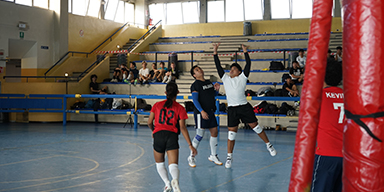 PEVA Tournaments